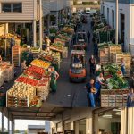 Marché de gros Lyon-Corbas : visiter le grand marché professionnel de la métropole lyonnaise